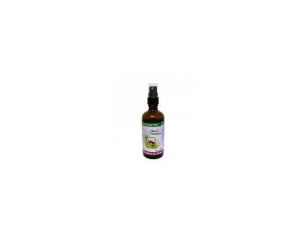 Ulei Samburi Struguri, 10ml - Arboria Plant