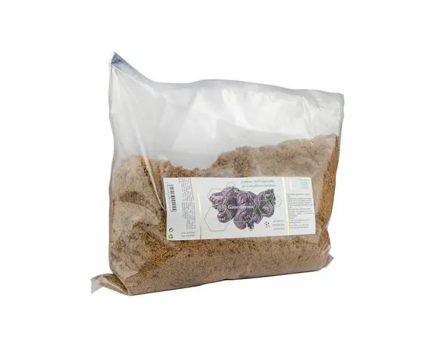 Ganoderma Lucidum, vrac 500g | AquaNano