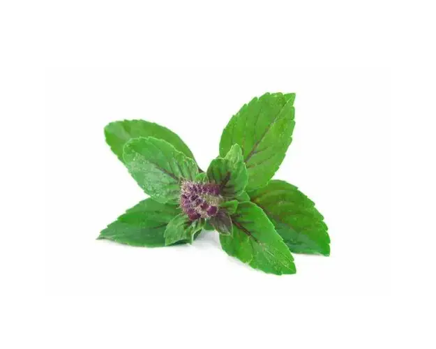 Crom Bio Oligovegetal, 20 fiole | 3Chenes