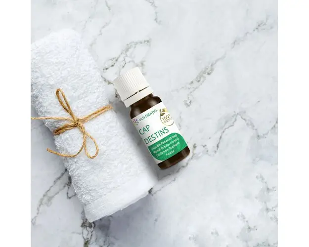 CapDestins Mix de Uleiuri Esentiale Pentru Eliminarea Tensiunilor Cerebrale, 10ml | Aquanano