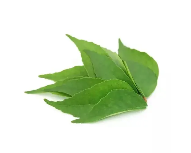 Fier Bio Oligovegetal, 20 fiole | 3Chenes