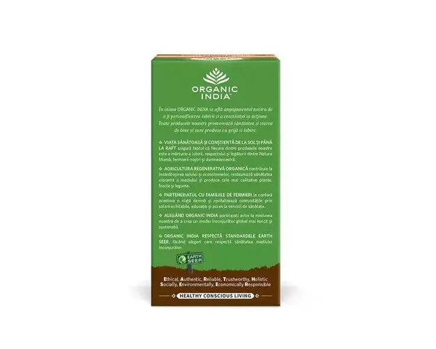 Ceai Tulsi Ayush KWATH, 25pl ECO | Organic India