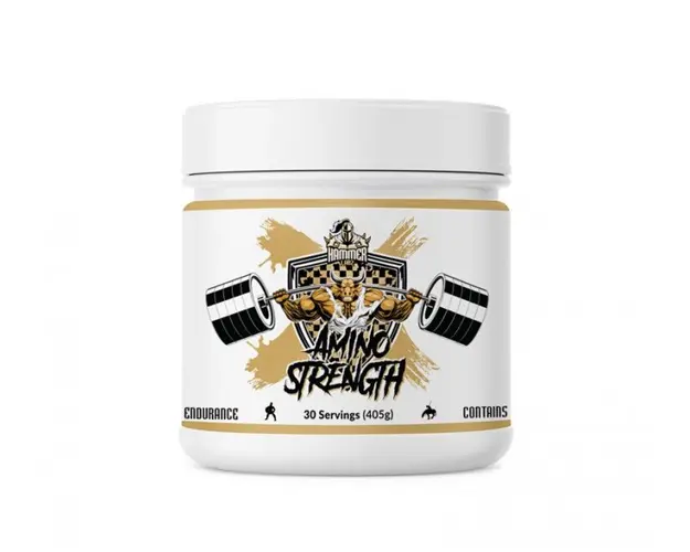 Hammer Labz Amino Streght 405g
