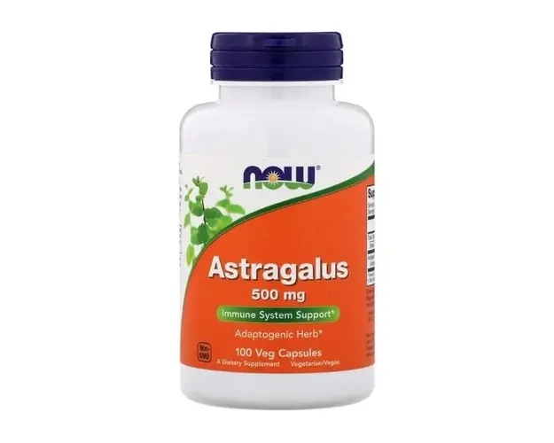 Now Astragalus 500mg 100 caps