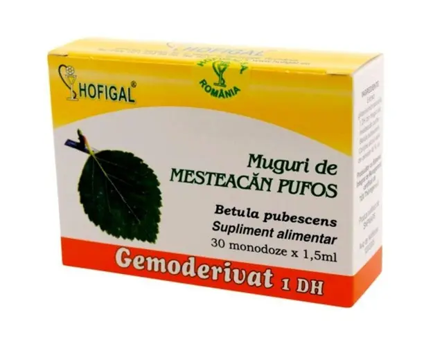 HOFIGAL Gemoderivat Muguri de mesteacan pufos, 30 monodoze