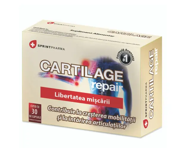 Cartilage repair, 30cps.
