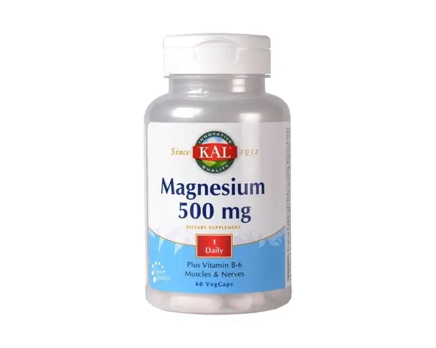 Secom Magnesium 500 mg, 60 capsule