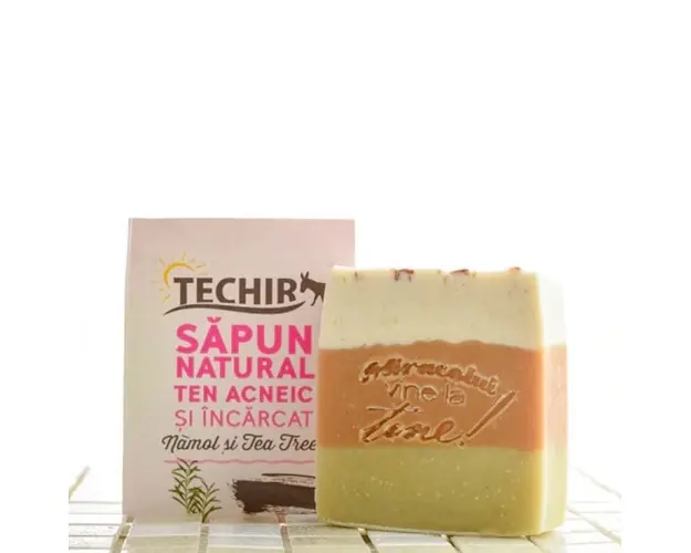Techir Sapun natural ten acneic si incarcat namol si tea tree,120 g