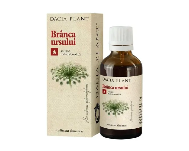 Dacia Plant Tinctura branca ursului, 200ml, ajutor impotenta
