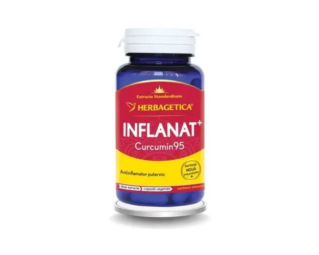 HERBAGETICA Inflanat + Curcumin 95, 60 capsule