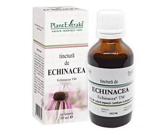 PLE Tinctura de Echinacea, imunitate, 50 ml