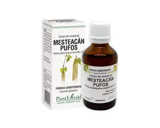 Extract din amenti de MESTEACAN PUFOS, 50 ml