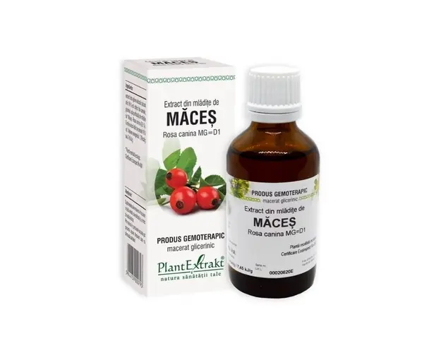 Plant Extrakt Mladite de maces, 50 ml