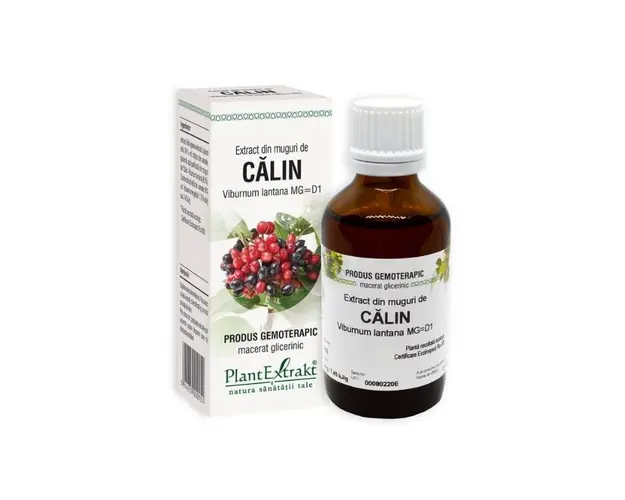 Extract din muguri de CALIN, 50 ml