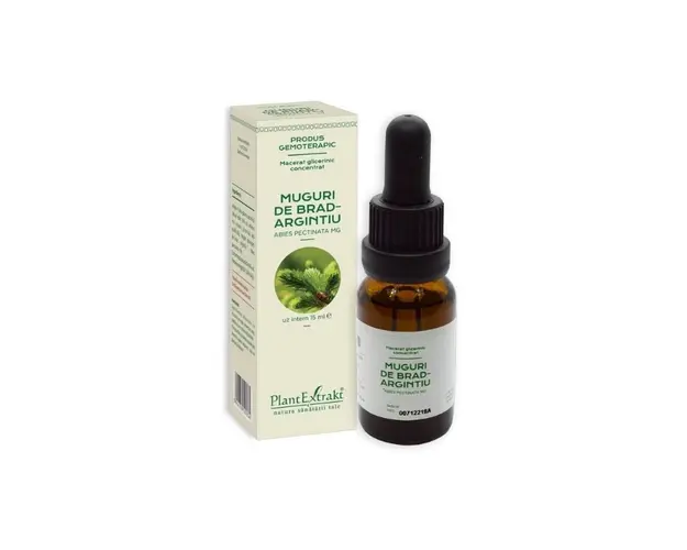 Concentrat Muguri brad, 15 ml