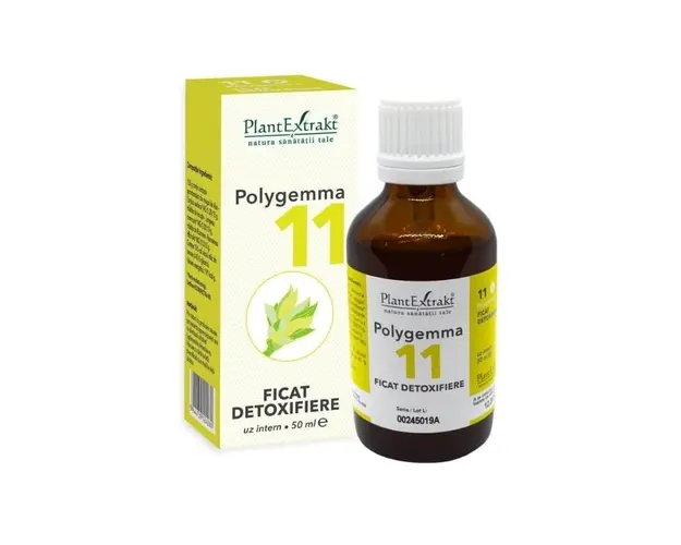 POLYGEMMA nr.11 Ficat, 50 ml