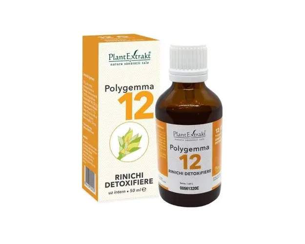 POLYGEMMA nr.12 Rinichi, 50 ml