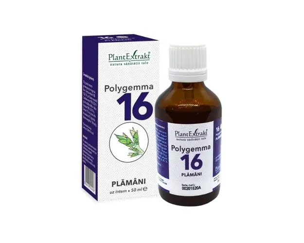 POLYGEMMA nr.16 Plamani-detoxifiere, 50 ml