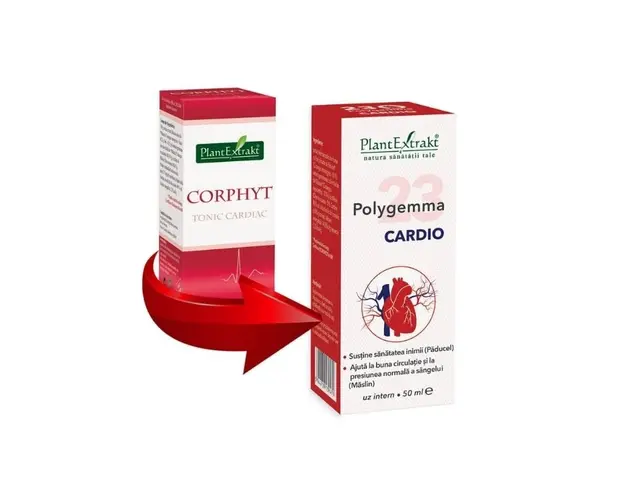 Polygemma 23 - Cardio, 50 ml