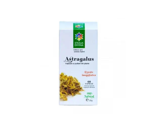 Astragalus, 60 capsule, Steaua Divina