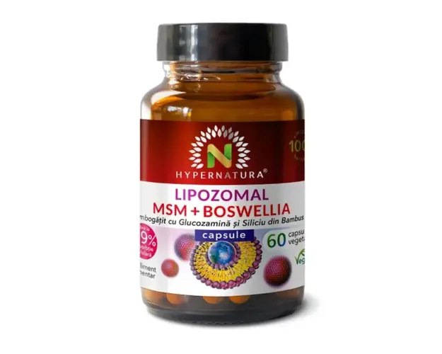 Lipozomal MSM + Boswellia, 60 capsule, Hypernatura