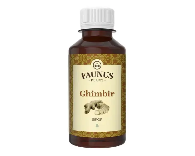 Sirop Ghimbir, 200 ml, Faunus Plant