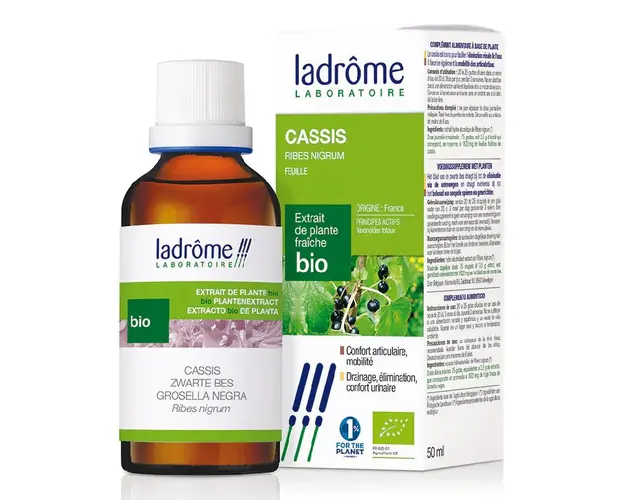 Tinctura Bio de Coacaz Negru, 50ml, Ladrome Laboratoire